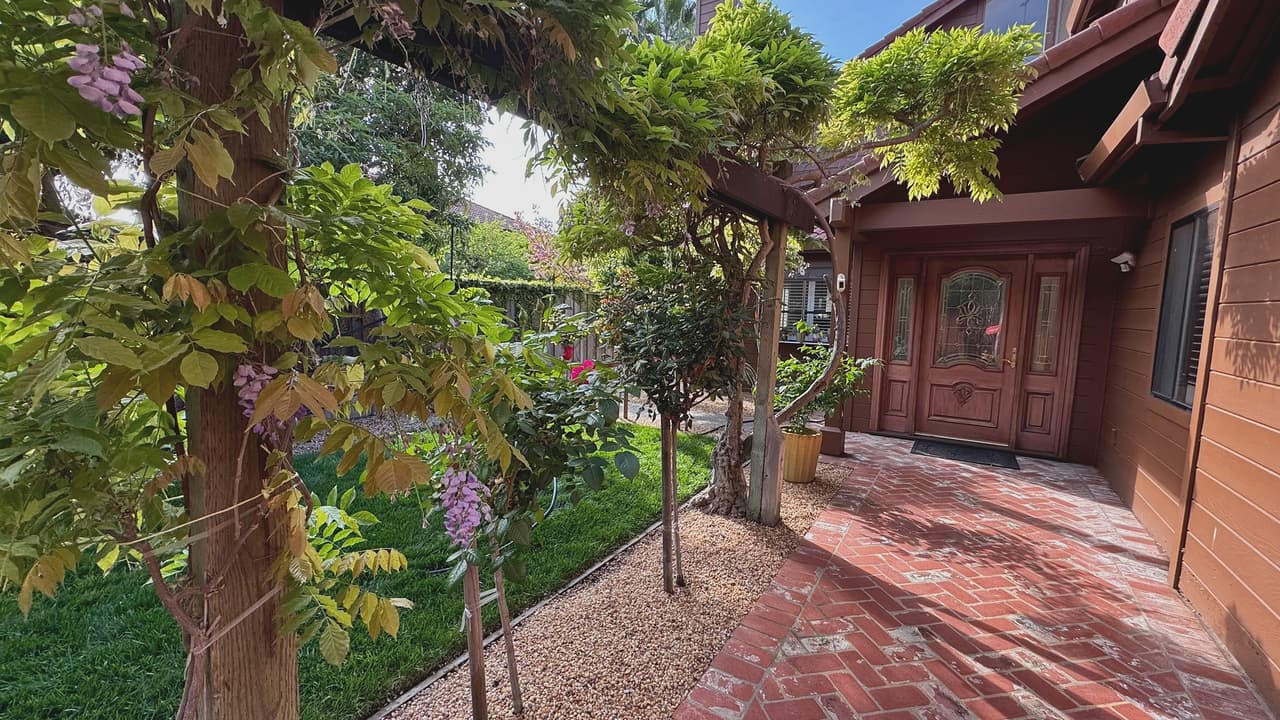 A red-brick herringbone walk to a timber front door, beneath a wisteria-covered arbour with lawn and gravel beside it.