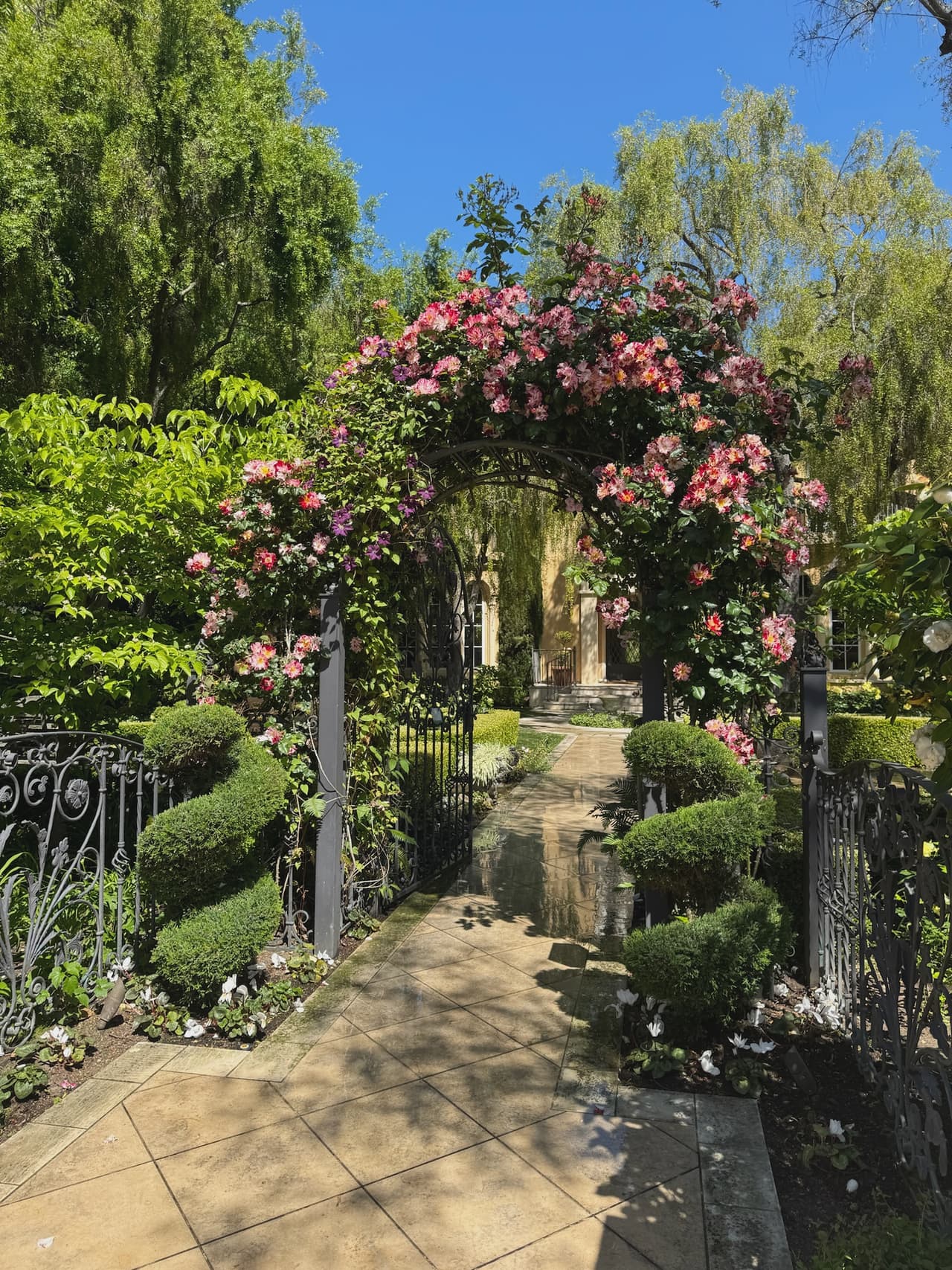 An iron arbor smothered in coral-pink climbing roses and purple clematis spanning a stone entry walk.