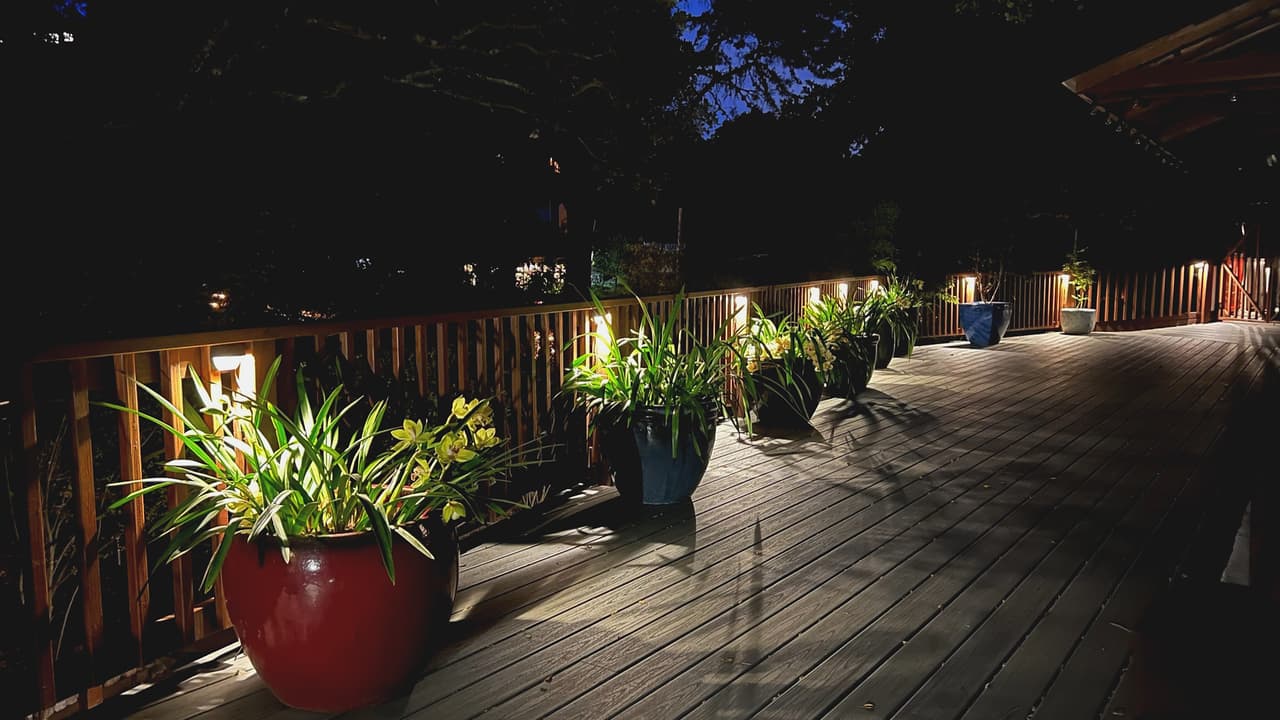 A deck at night lit by warm downlights recessed into the rail posts, each pot of orchids picked out against the dark.